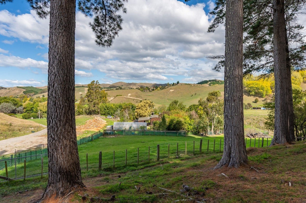564 Seafield Road, Puketapu, Napier - Carousel 32