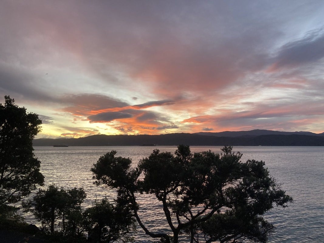 409 Karaka Bay Road, Karaka Bays, Wellington - Carousel 15