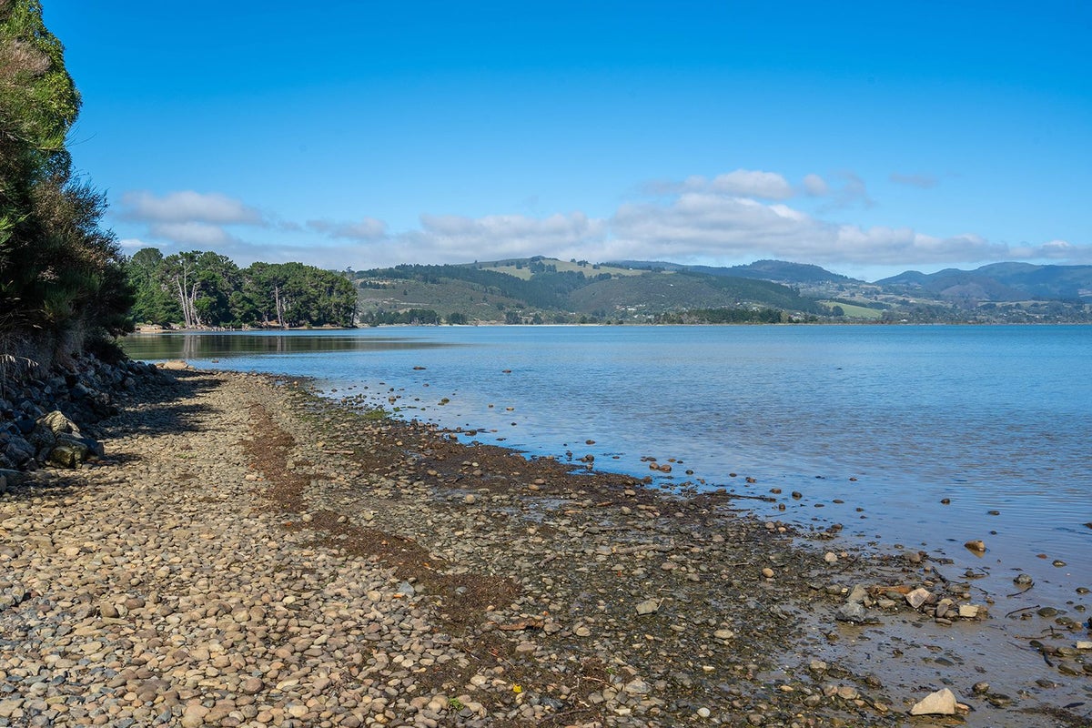 1 Bay Road, Warrington, Waikouaiti - Carousel 21