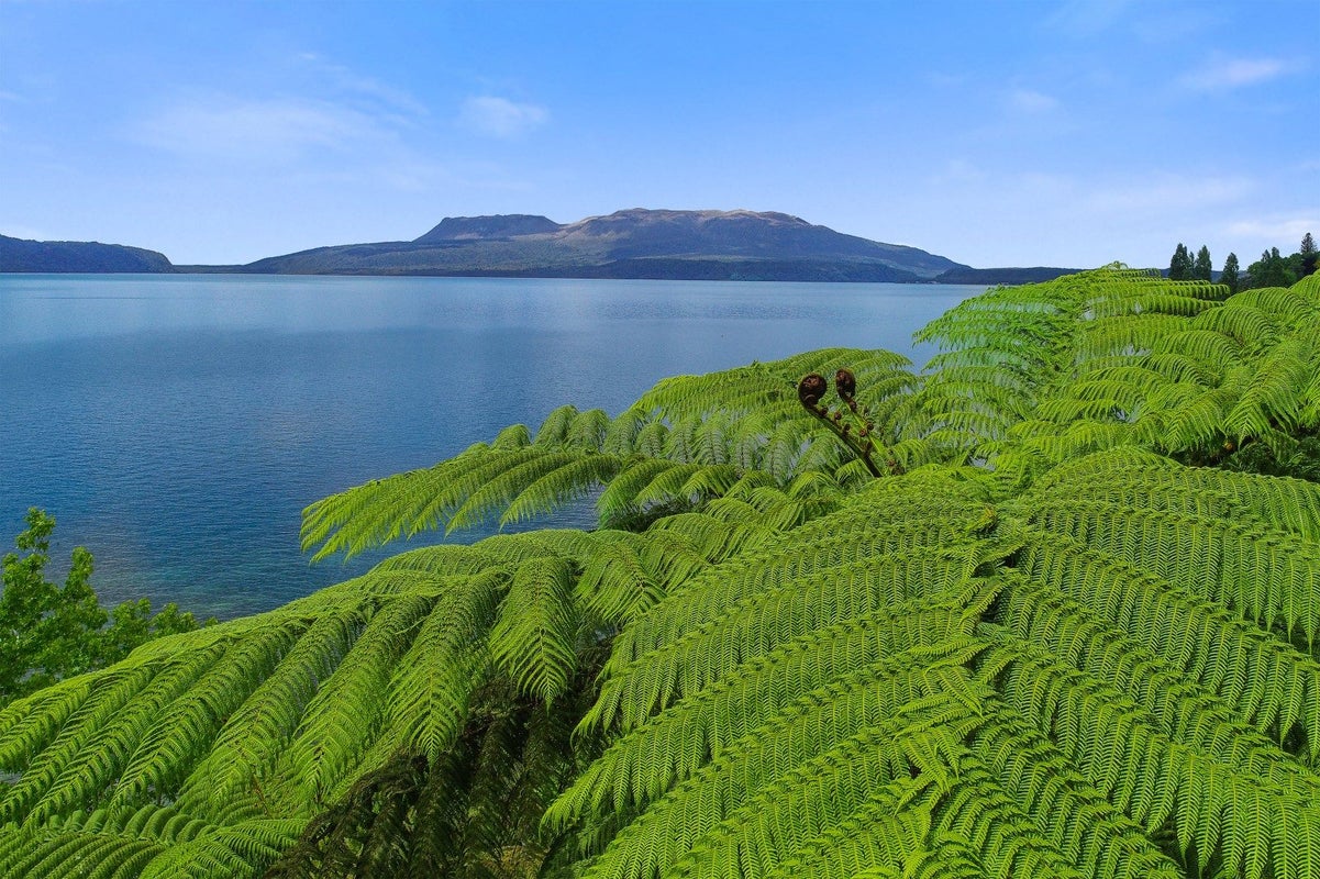 259 Spencer Road, Lake Tarawera, Rotorua - Carousel 1