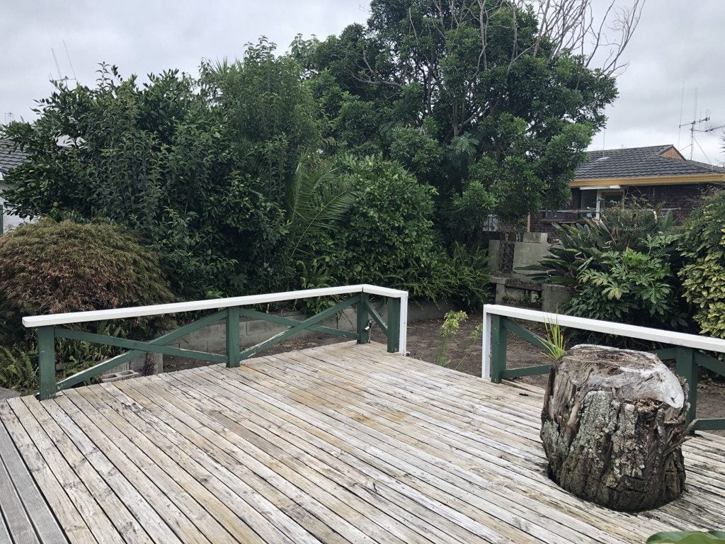 8 Leonard Place, Dinsdale, Hamilton - Carousel 10
