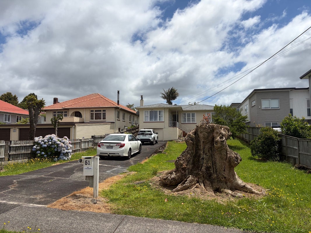 51 Arawa Street, New Lynn, Auckland - Carousel 1