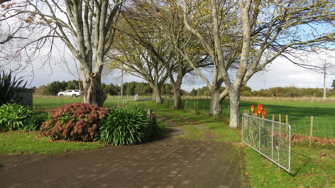 1280 State Highway 23, Whatawhata - Carousel 1