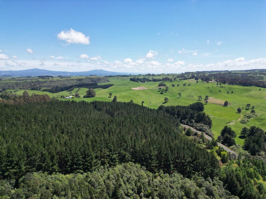 1401 Whangamata Road, Marotiri, Taupo - Carousel 12