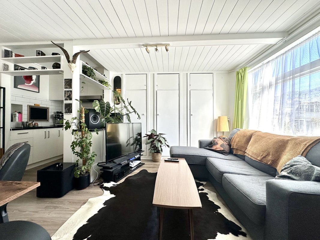 1B Manley Terrace, Newtown, Wellington - Carousel 2
