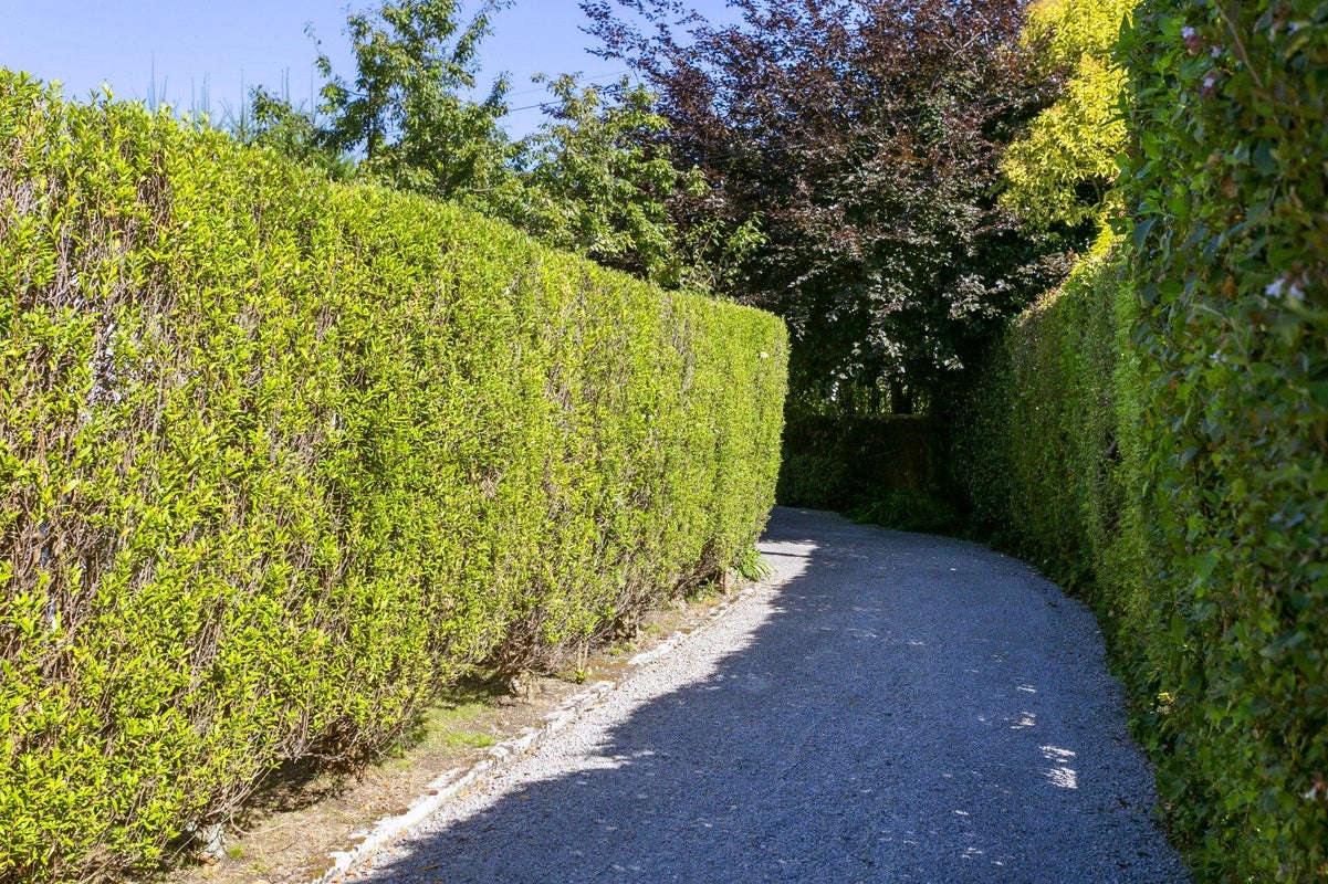 2/1 Henry Hill Road, Taupo, Taupo - Carousel 23
