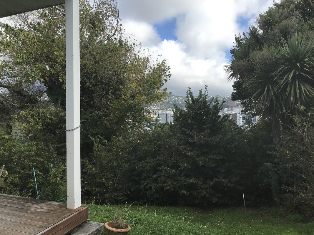 26 Austin Street, Mount Victoria, Wellington - Carousel 11