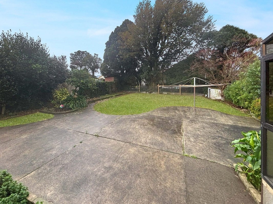 2 Albert Street, Dannevirke, Dannevirke - Carousel 12