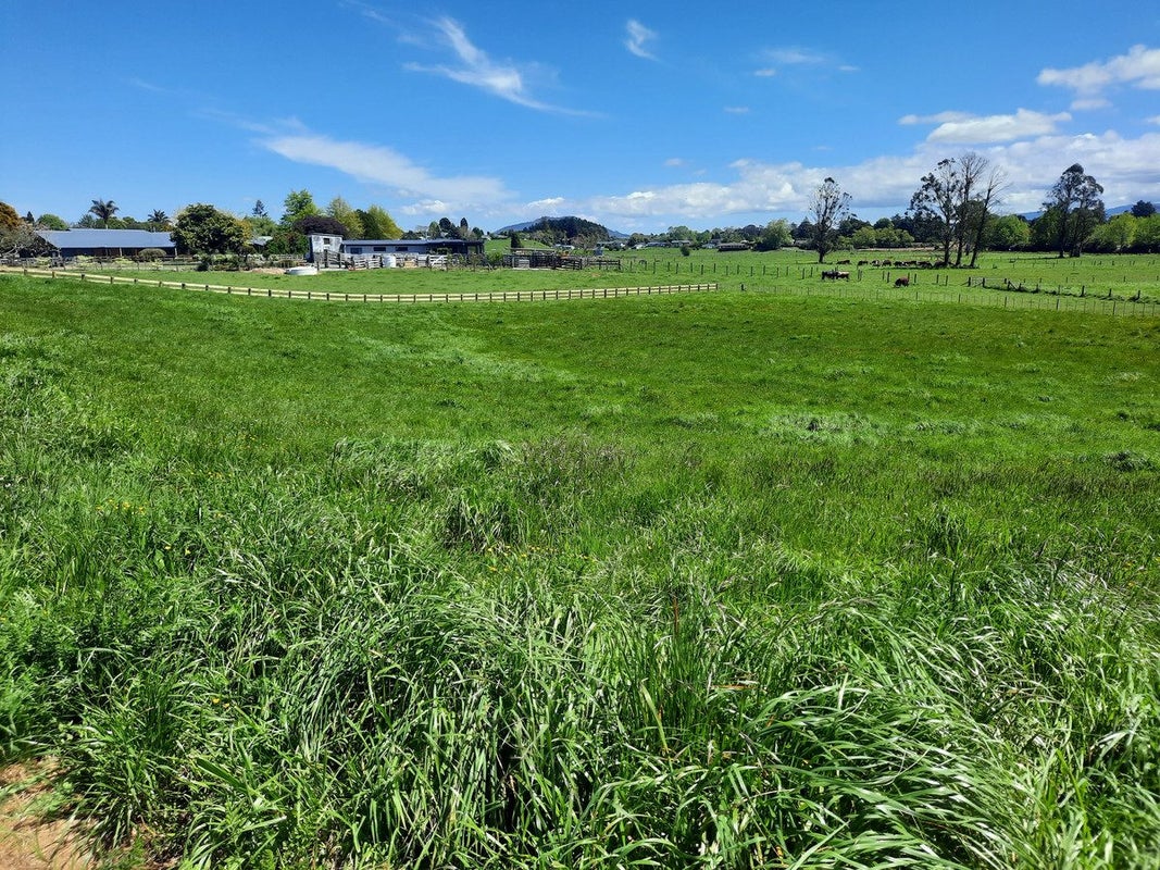 136 Flat Road, Kihikihi, Te Awamutu - Carousel 2
