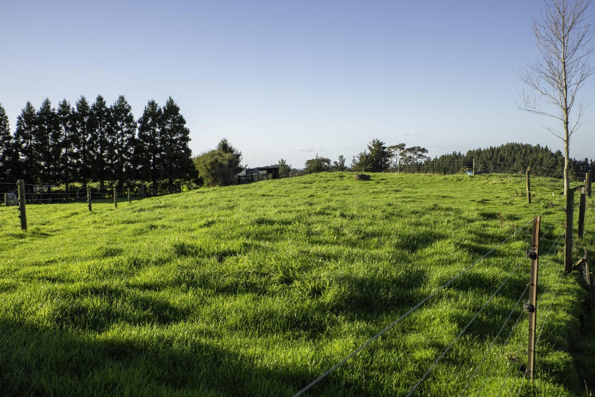 10 Allan Road, Burgess Park, New Plymouth - Carousel 50