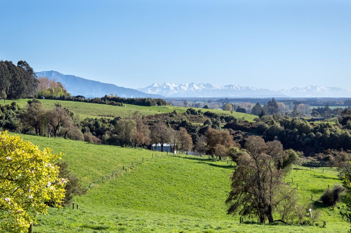 22 Pye Road, Geraldine Downs, Geraldine - Carousel 2