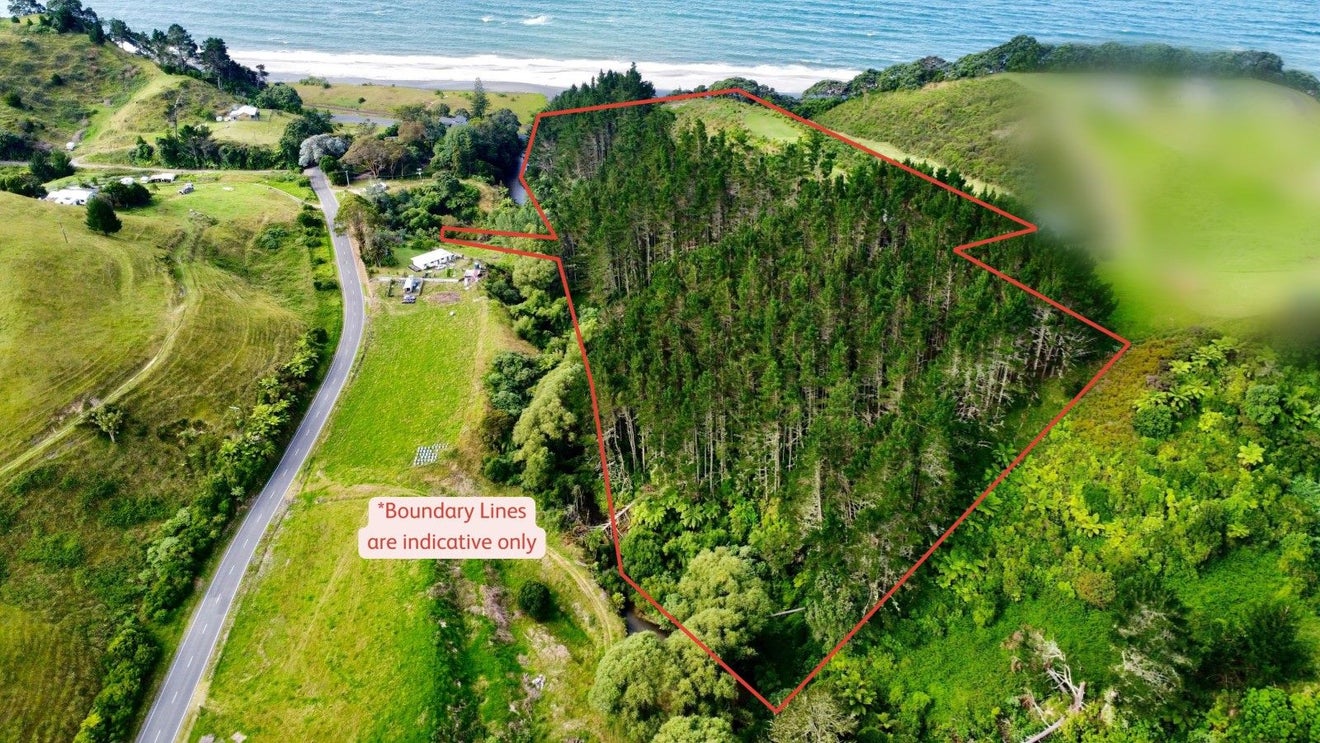 761H State Highway 2 West, Pikowai, Matata - Carousel 2