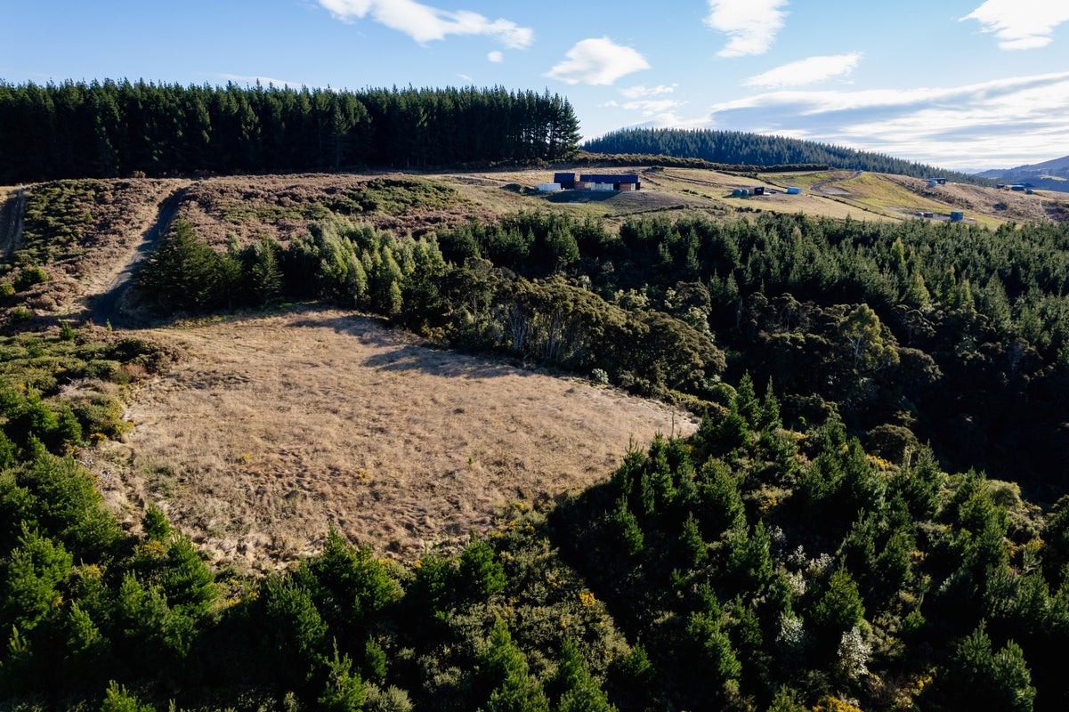 113 Wright Road, Evansdale, Waikouaiti - Carousel 9