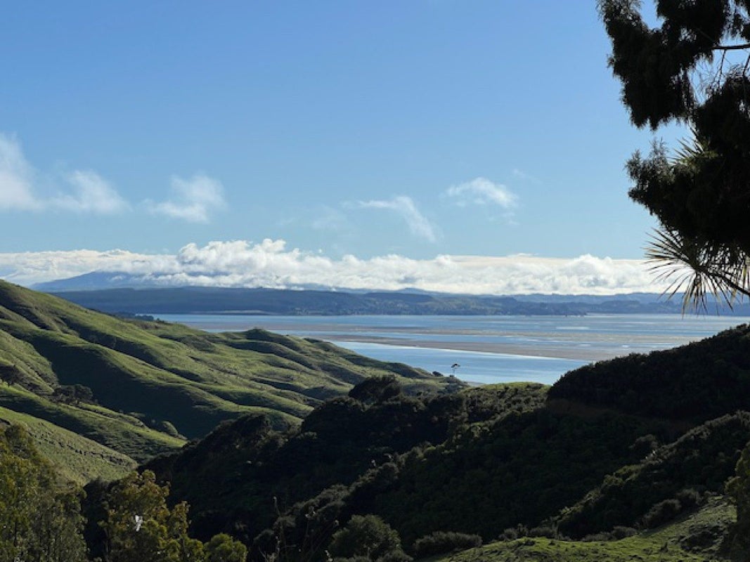 0 Whakapirau Rd, Whakapirau, Maungaturoto - Carousel 1