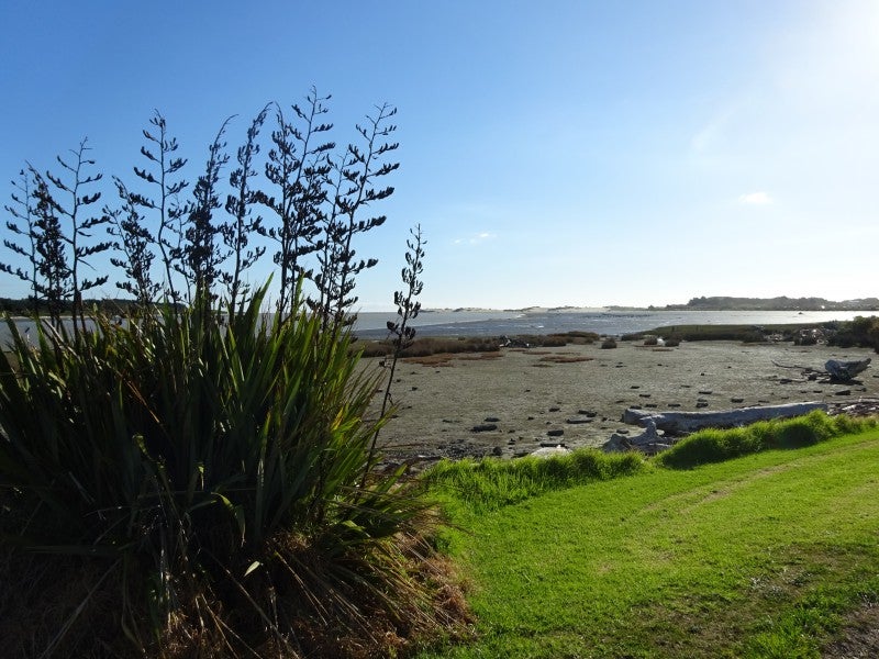 36 Pratt Avenue, Foxton Beach, Foxton - Carousel 15
