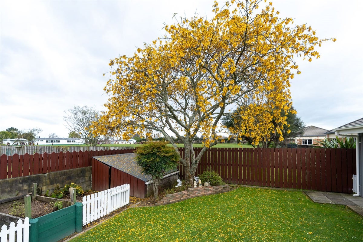 29 Scott Avenue, Hamilton East, Hamilton - Carousel 24