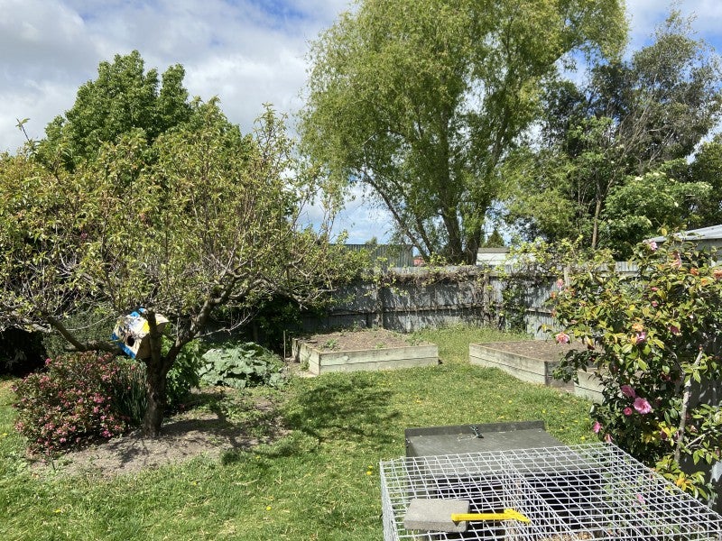 20 Porter Street, Netherby, Ashburton - Carousel 9
