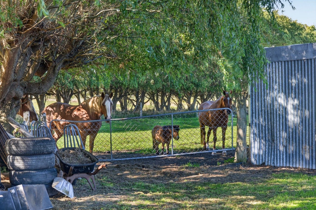 65 Burneys Road, Christchurch - Carousel 36