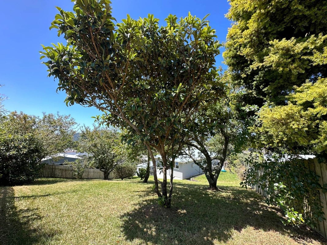 25 Hilltop Avenue, Morningside, Whangarei - Carousel 1