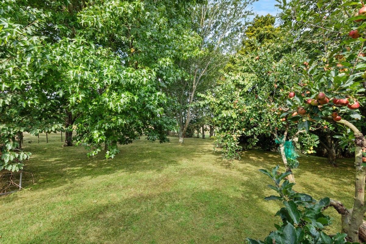 329 Kiwitahi Station Road, Morrinsville, Morrinsville - Carousel 17