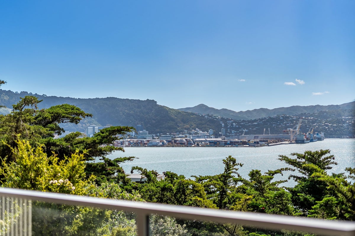 1/9 Wilkinson St, Oriental Bay, Wellington - Carousel 2