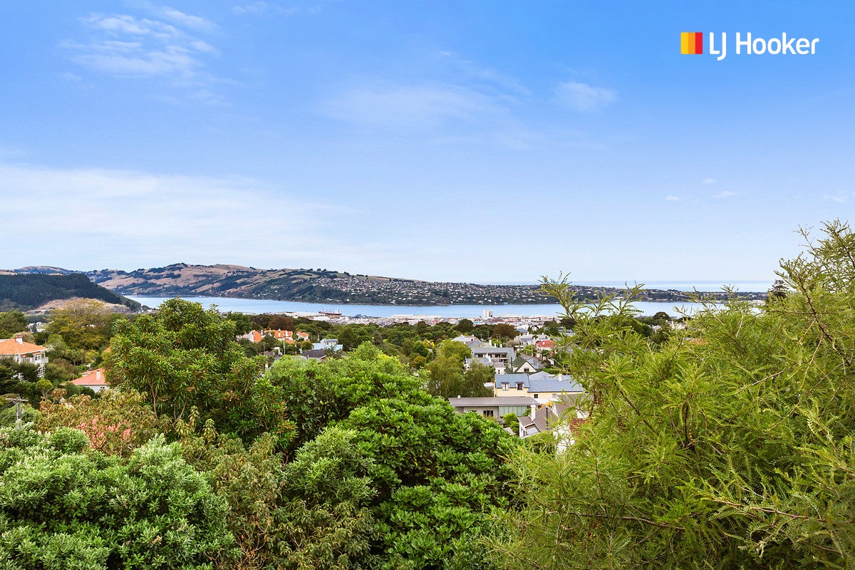 5 Pacific Street, Roslyn, Dunedin - Carousel 15