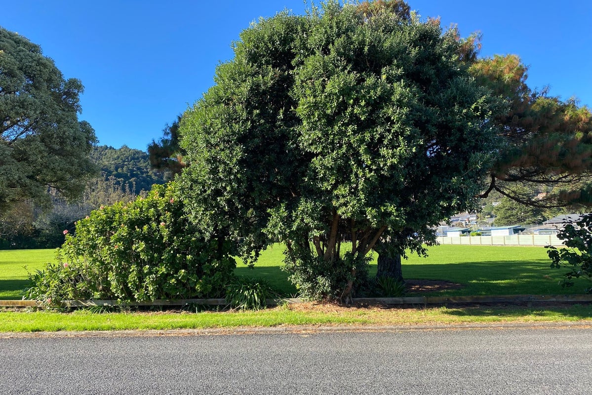 33 West Crescent, Te Puru, Thames - Carousel 28