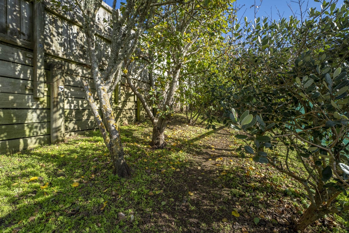 12 Pendennis Point, Camborne, Porirua - Carousel 31