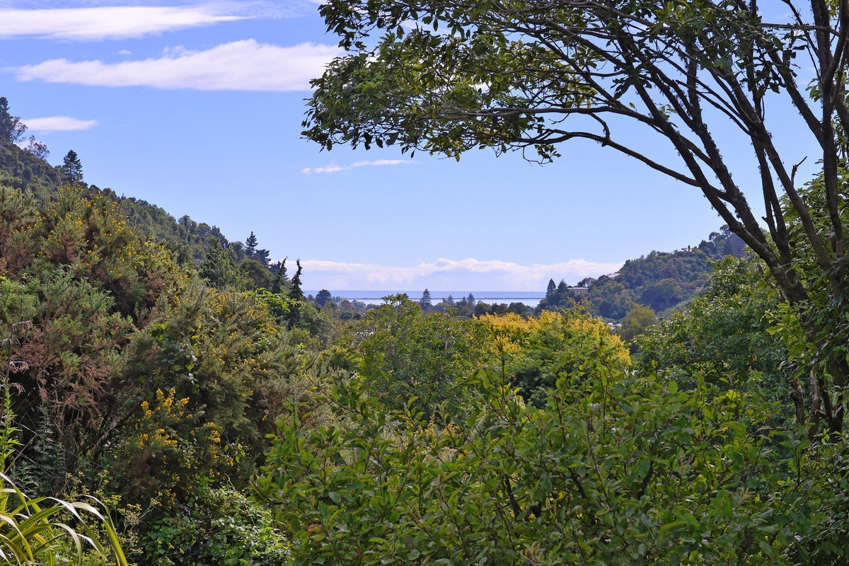 21 Robinson Road, The Brook, Nelson - Carousel 19