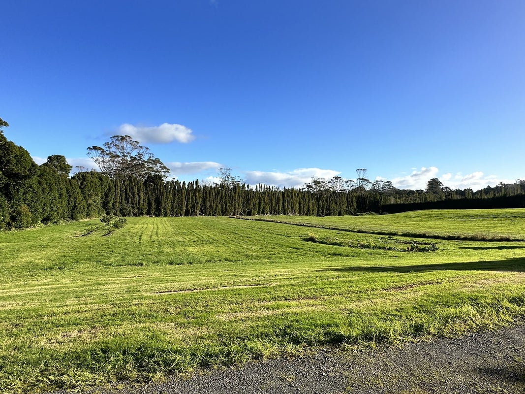 169 Waipapa Road, WAIPAPA, KERIKERI - Carousel 2