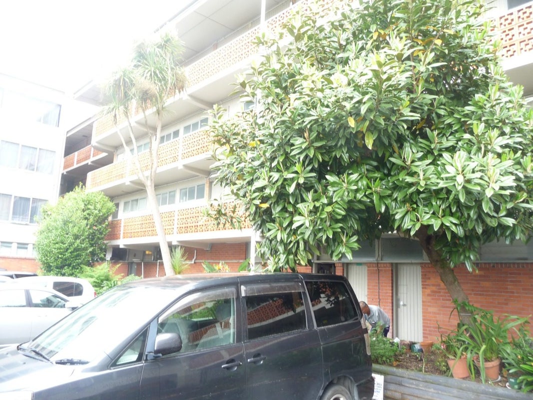 1C/94 Dominion Road, Mount Eden, Auckland - Carousel 28