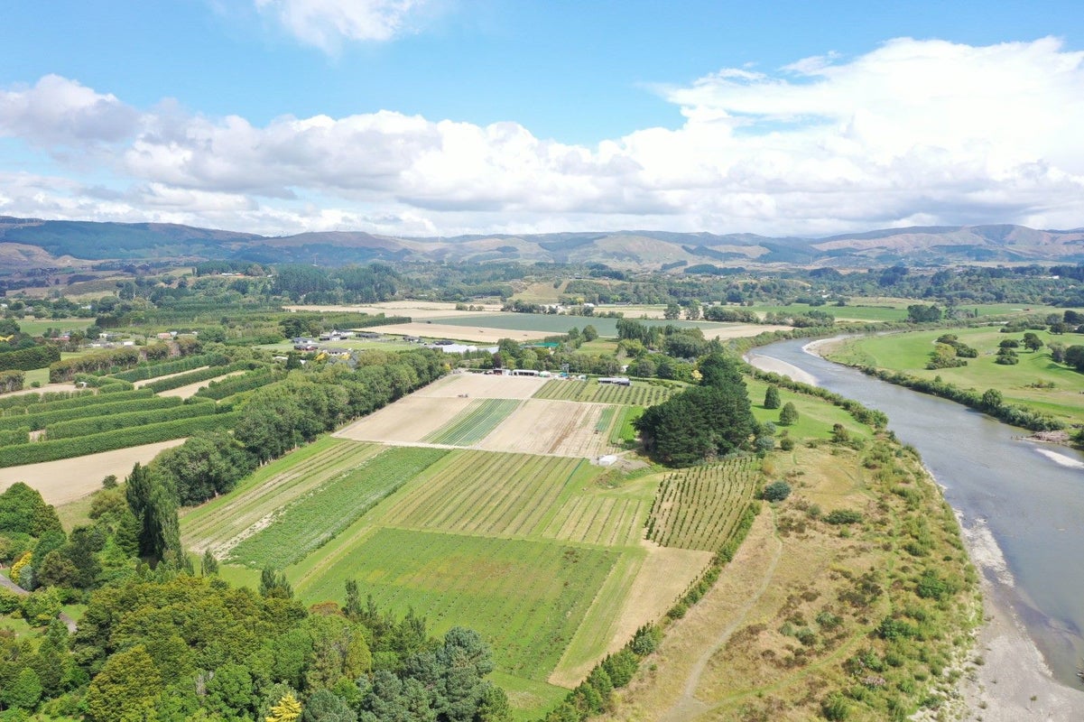 72 Pinfold Road, Palmerston North - Carousel 23