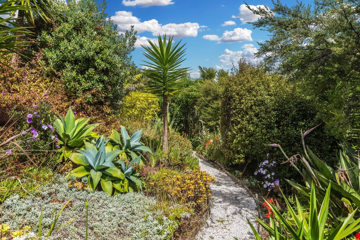 26 Upland Road, Omiha, Waiheke Island - Carousel 27