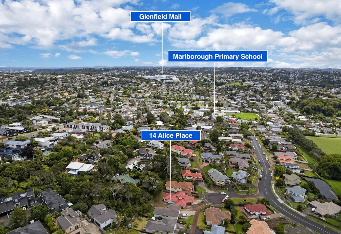 14 Alice Place, Hillcrest, Auckland - Carousel 21