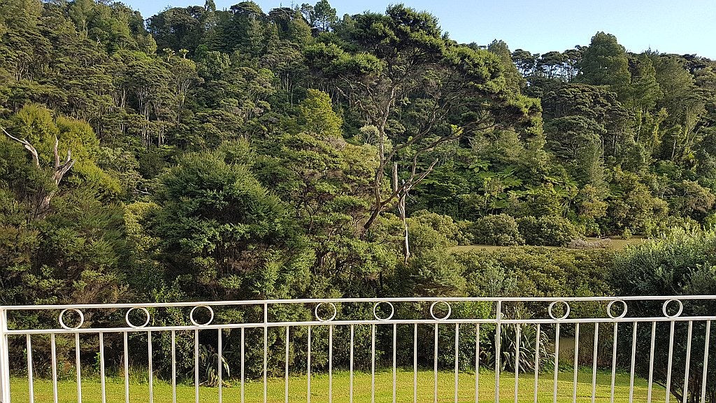 26 Landing Drive, Albany, Auckland - Carousel 20