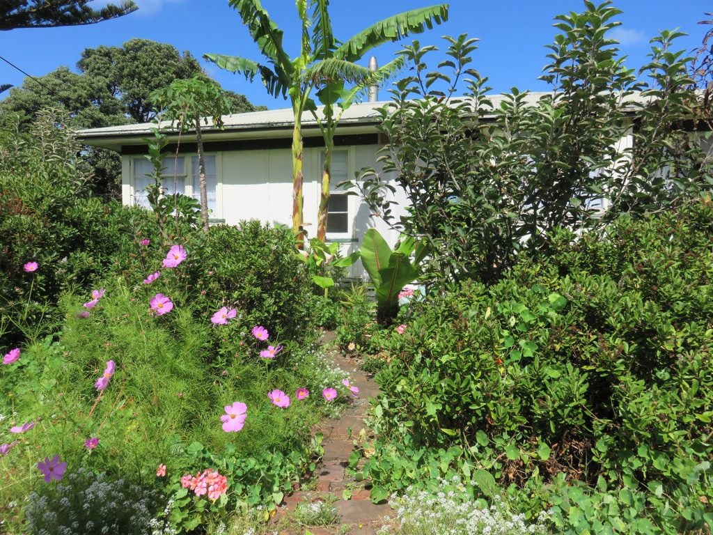 6 Coates Avenue, Dargaville - Carousel 16