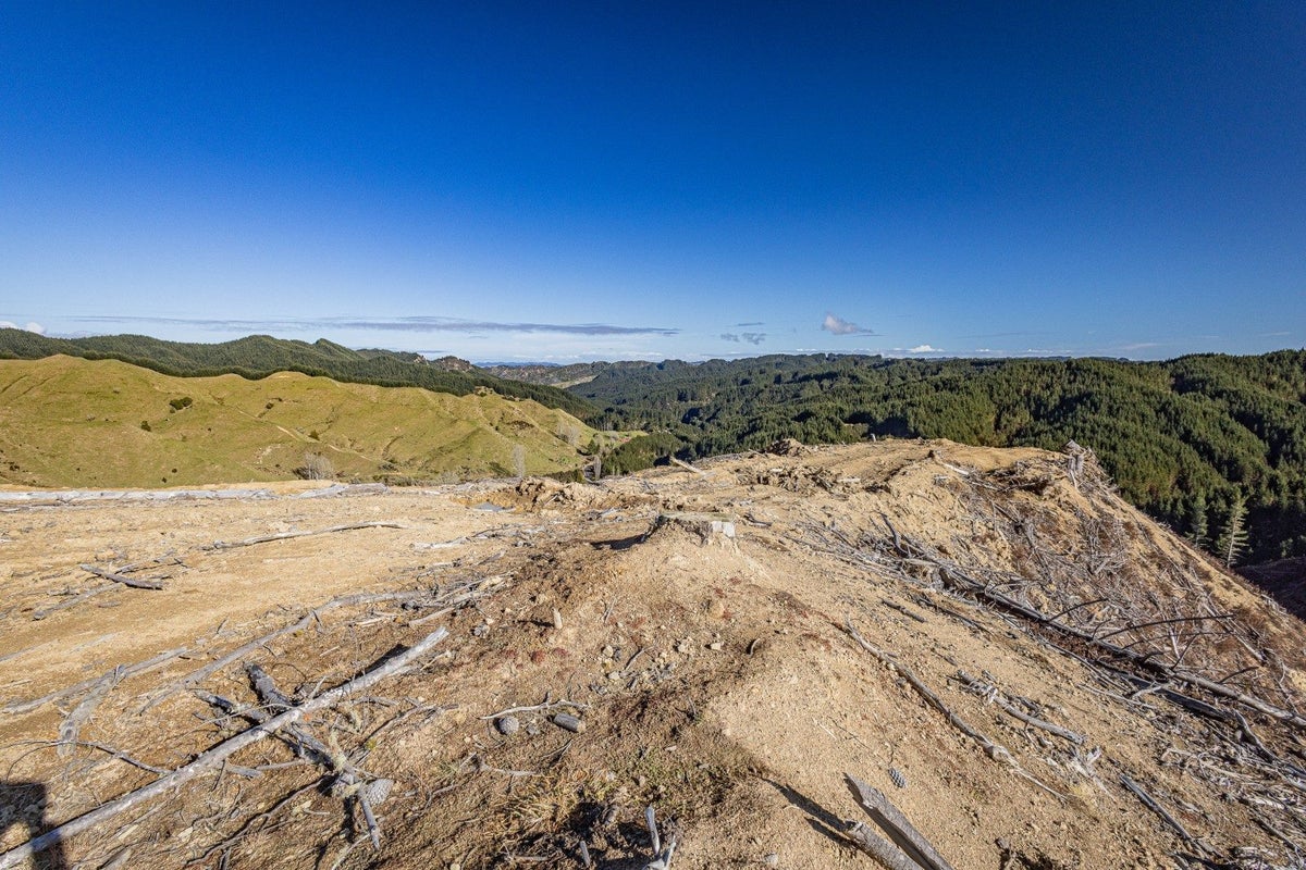 0 Oio Rd, Owhango - Carousel 2