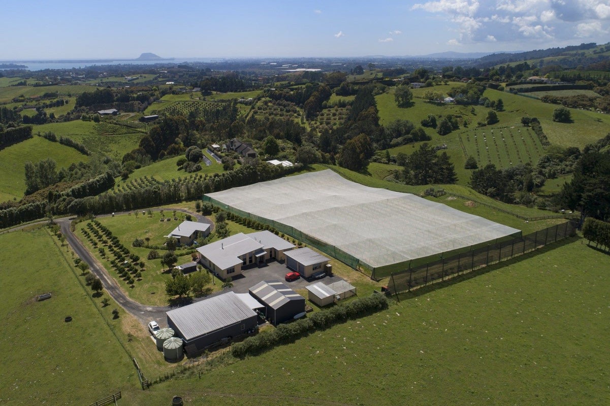 108D Plummer Road, Whakamarama, Tauranga - Carousel 18