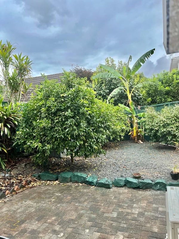 6B Fowlds Avenue, Sandringham, Auckland - Carousel 20
