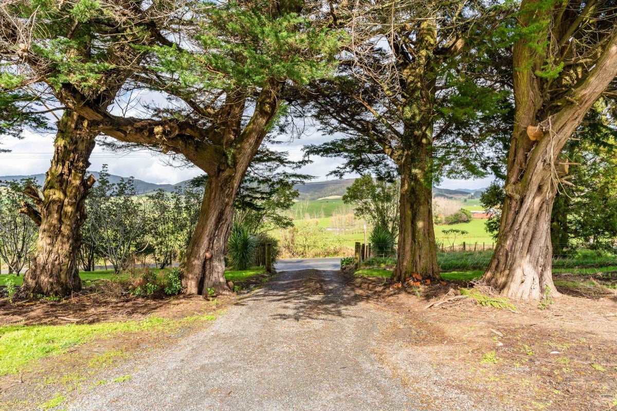 243 Pataua Road, PATAUA SOUTH, ONERAHI - Carousel 15