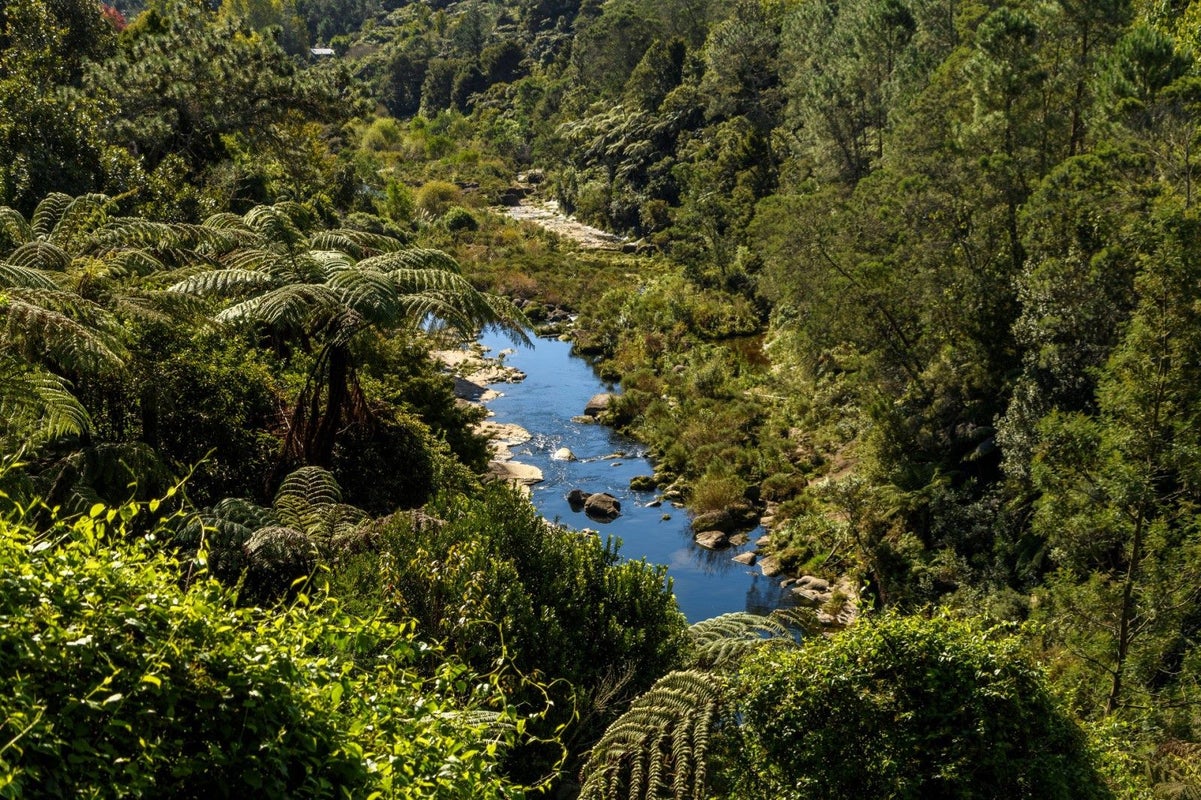 1475 State Highway 29, Lower Kaimai, Tauranga - Carousel 27