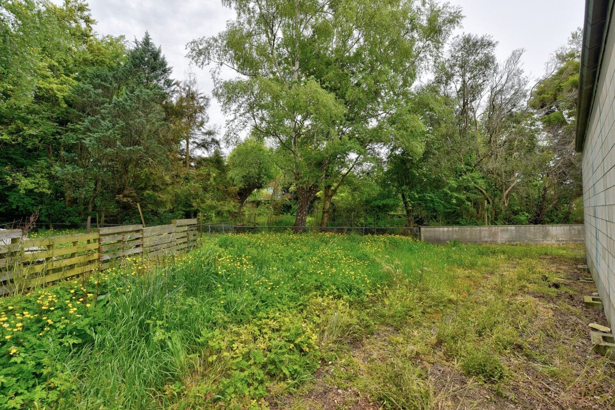 17 Meadow Street, Mornington, Dunedin - Carousel 16