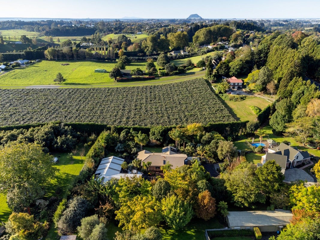 426A Cambridge Road, Tauriko, Tauranga - Carousel 40