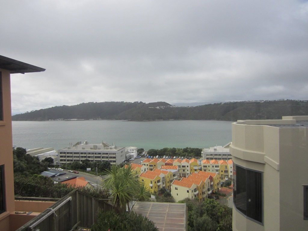 17 Treasure Grove, Hataitai, Wellington - Carousel 1