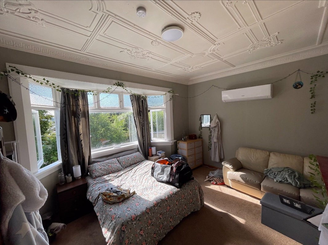 51B Peter Street, Caversham, Dunedin - Carousel 2