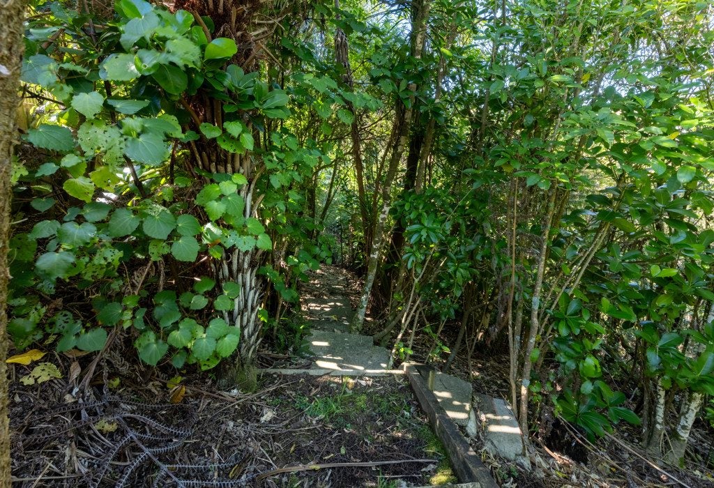 10 Oliver Twist Avenue, Mellons Bay, Manukau City, Auckland - Carousel 36