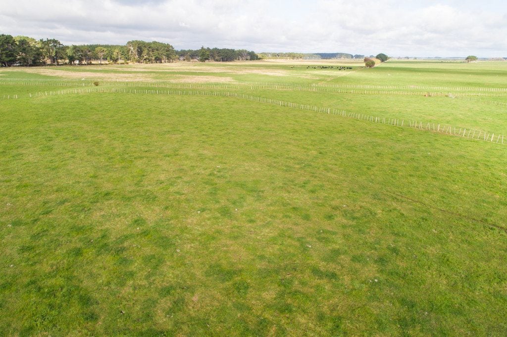 0 Himatangi Beach Road, Himatangi Beach, Foxton - Carousel 8