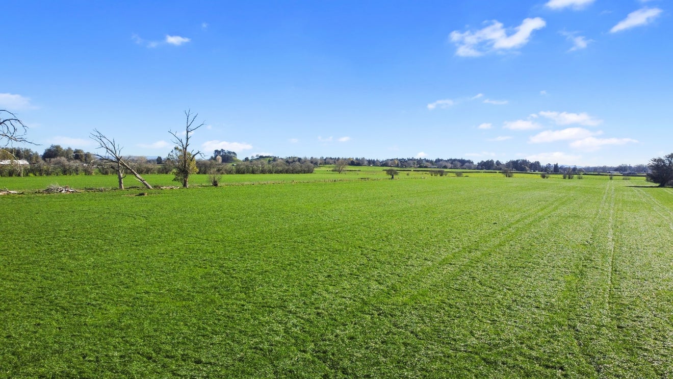 90 Duncan Road, Tamahere, Hamilton - Carousel 2