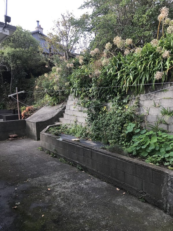 163 Ohiro Road, Brooklyn, Wellington - Carousel 16