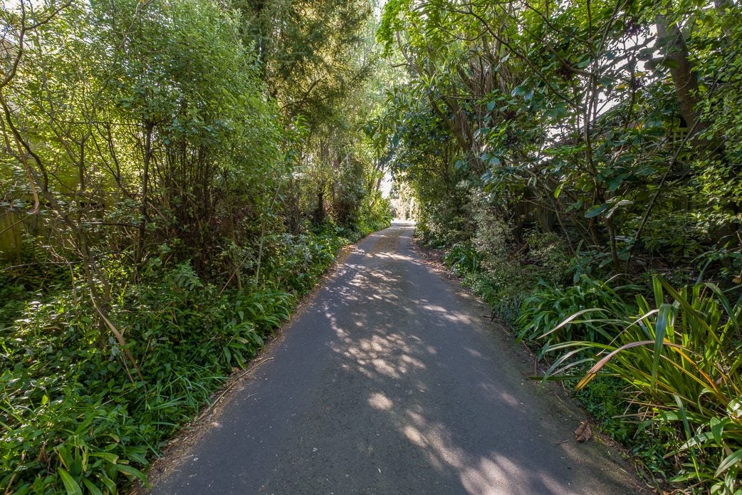 297B Ashgrove Terrace, Somerfield, Christchurch - Carousel 28